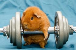 开云体育APP下载-绝境骑士，神奇魔法—高诗岩用双手点燃了沉寂的赛场