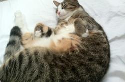 开云体育中国-大地与棱镜的对决，卡拉斯科的破局艺术