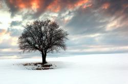 开云体育平台APP-橄榄球场如罗马斗兽场，斯通斯史诗般爆发，罗马军团淘汰赛跨越大洋铁壁