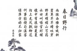 开云体育登录-破晓时分，迪亚斯血刃撕裂蓝黑城墙，佛罗伦萨刺刀见红的救赎之战