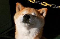 开云体育app-坎特变身开瓶器，一记绝杀重塑经典，法国险胜乌拉圭启示录