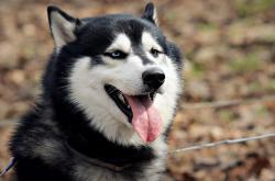 开云体育平台APP-绿茵教科书，欧文用90分钟为世界写下争冠夜终极章节