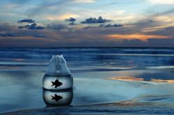 开云sport-逆天改命！利拉德超神三分射落爵士，北京队创造跨洋奇迹