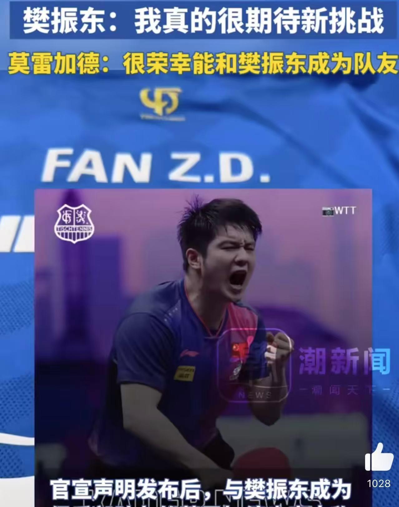 德国乒乓球队力克英国乒乓球队，樊振东爆发神勇的简单介绍