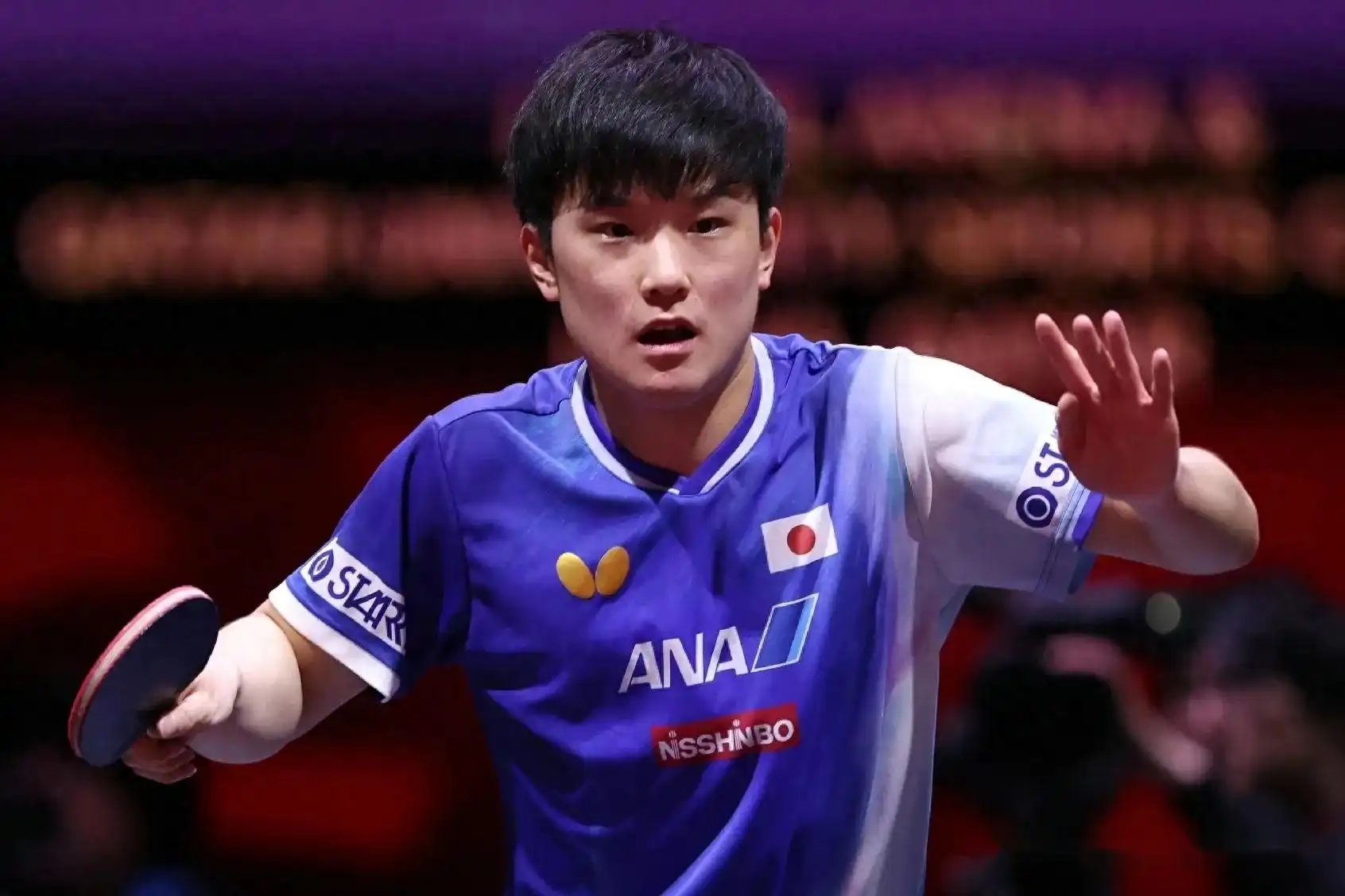 日本乒乓球队鏖战韩国乒乓球队,张本智和高光表现 日本乒乓球队鏖战韩国乒乓球队,张本智和高光表现