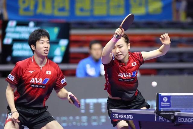 波兰队翻盘法国队，许昕关键制胜