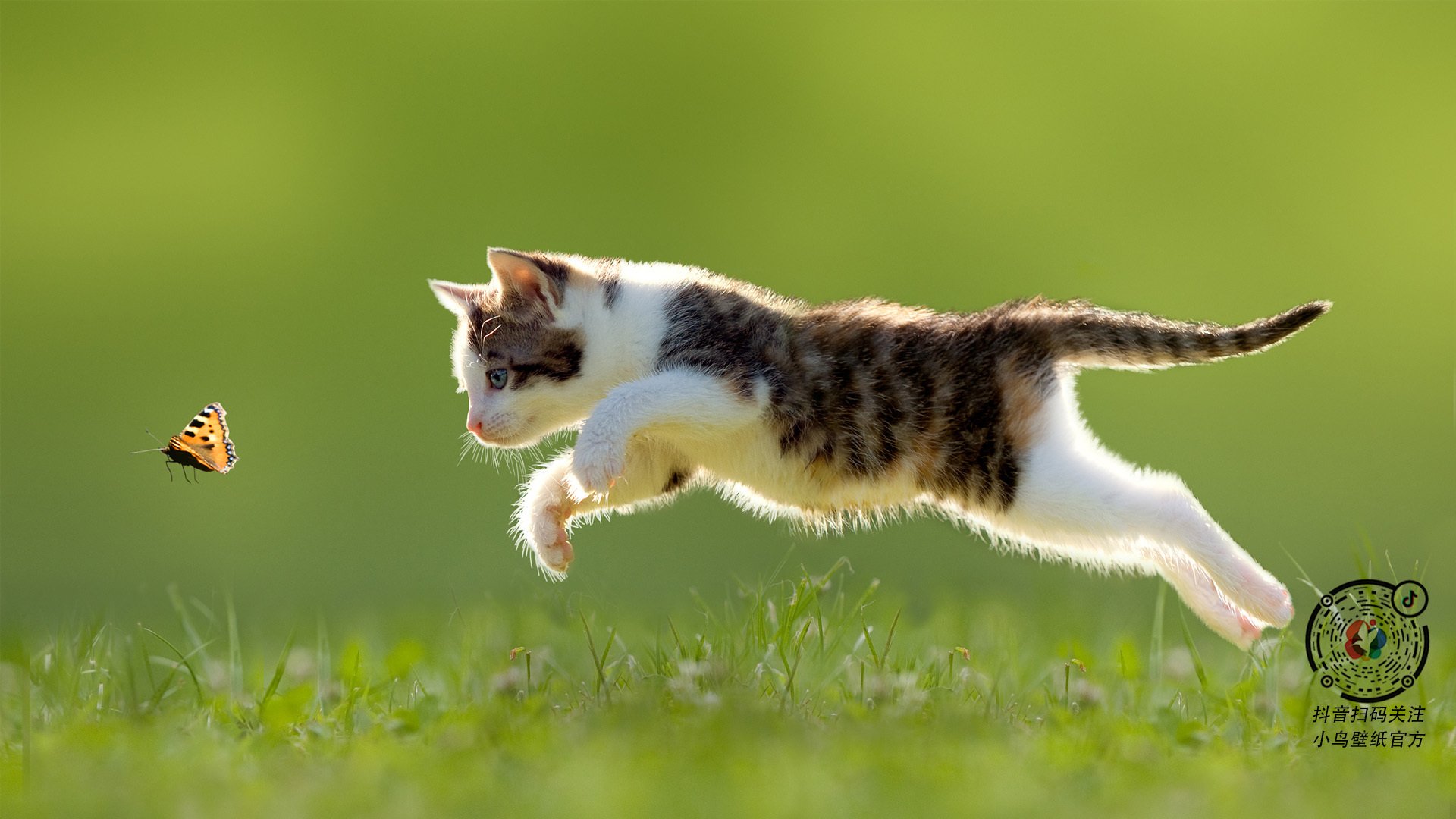 夜之棱镜，勒克莱尔在揭幕战焰火下的碎裂与闪耀