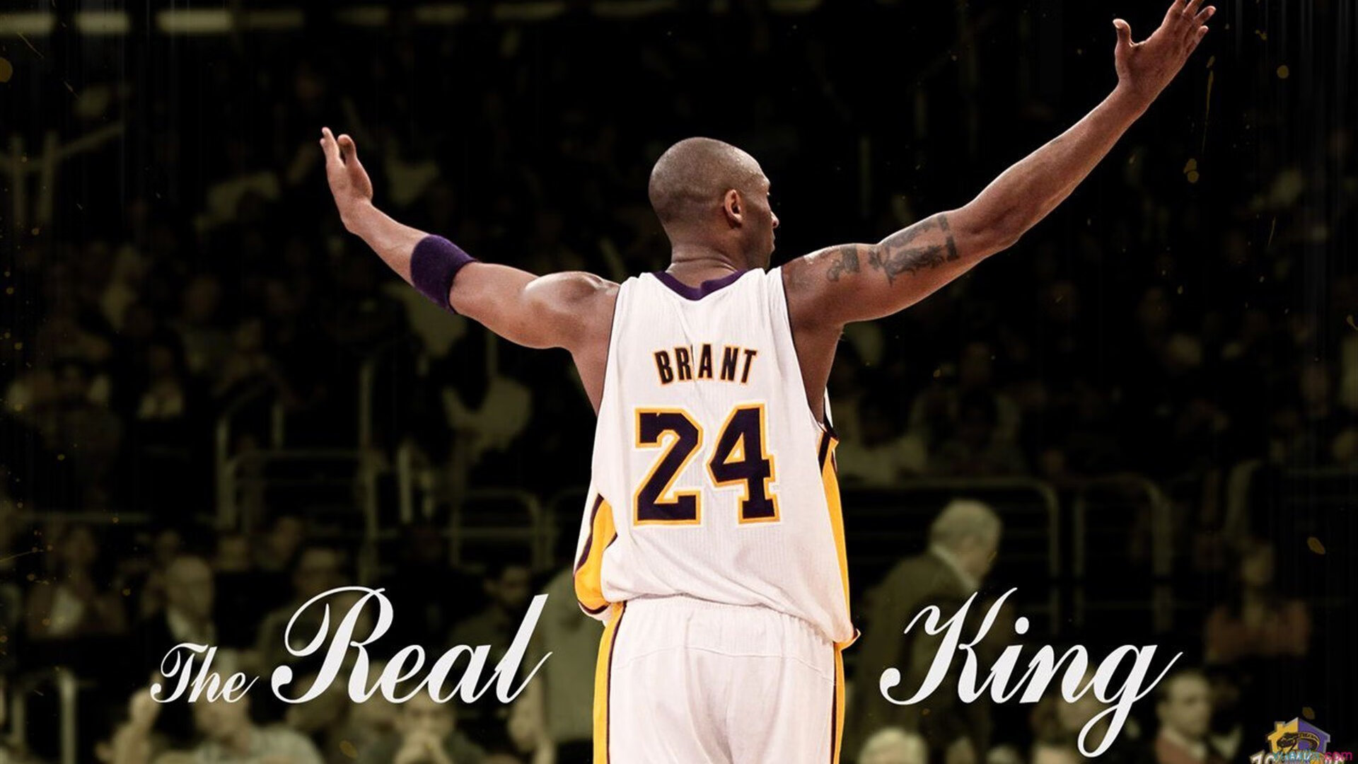 钱塘江畔战亚利桑那,当浙江红遇上芝加哥红