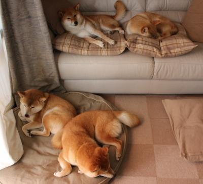 无声处听惊雷,莫德里奇,欧冠夜里的零度胜负手