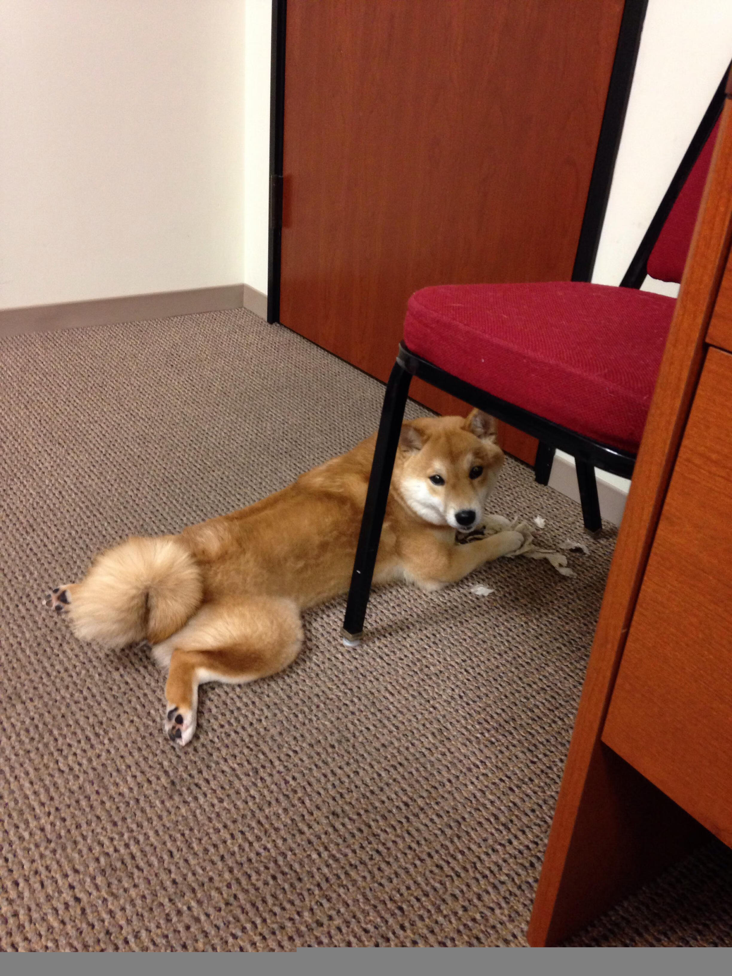 角色互换,西亚卡姆化身关键先生,独行侠斩落太阳背后的篮球哲学