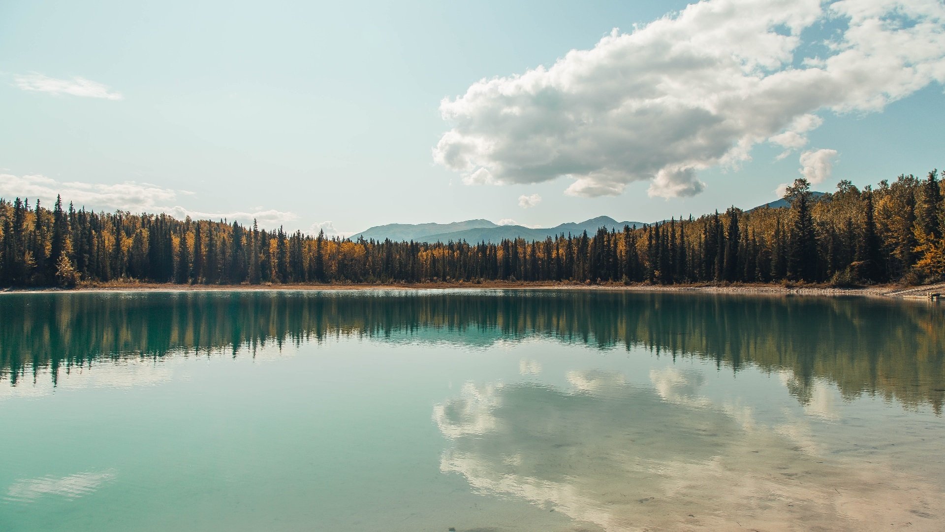 世界之巅的阶梯，加维在命运哨音前的挺身而出