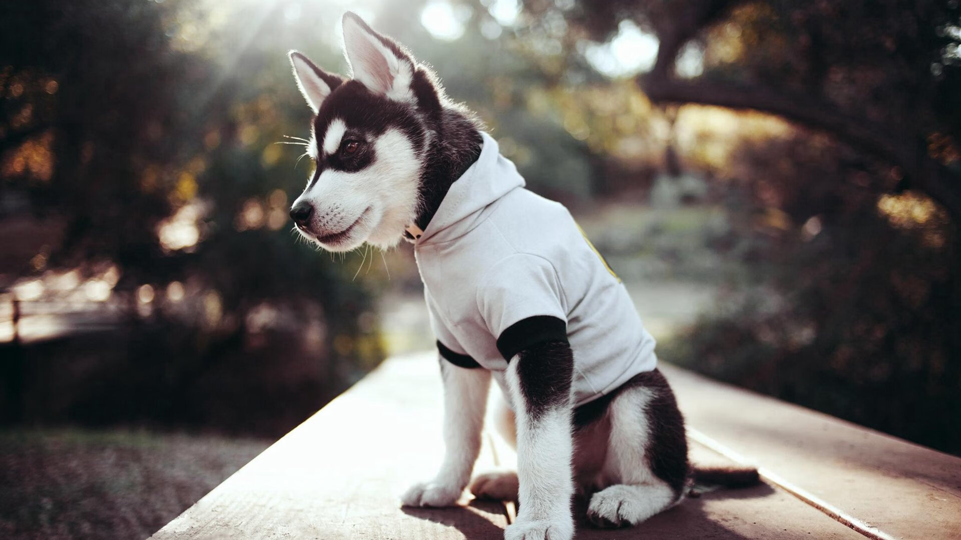 恩比德主宰攻防,热火一波流锁定胜局