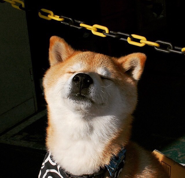 坎特变身开瓶器，一记绝杀重塑经典，法国险胜乌拉圭启示录