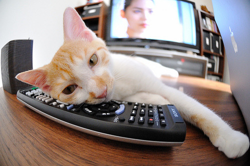 封喉者爱德华兹，雄鹿终结国王之夜，一个非典型巨星的诞生