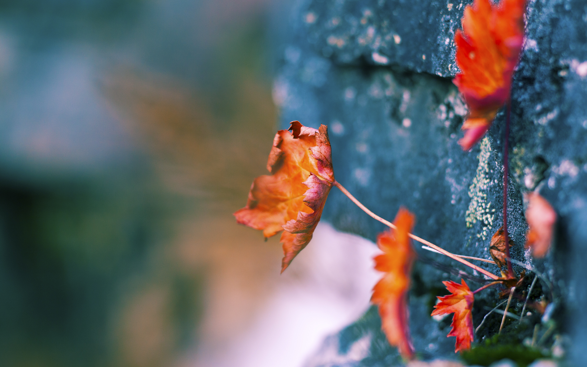 圣徒与龙息，格列兹曼的火焰与威尔士的战术铁幕