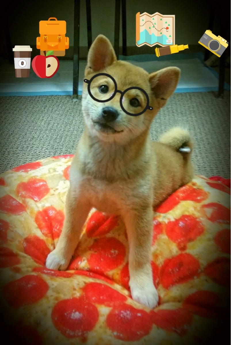 新月照狂潮，布克怒砍41分助篮网险胜山西，危机中绽放唯一光芒