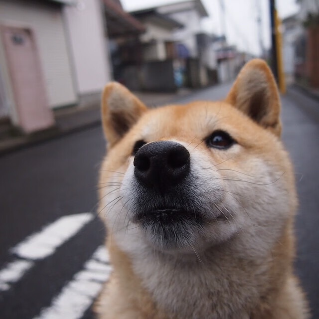 卡塞米罗攻防两端统治比赛，中国男足2-1险胜英格兰创造历史
