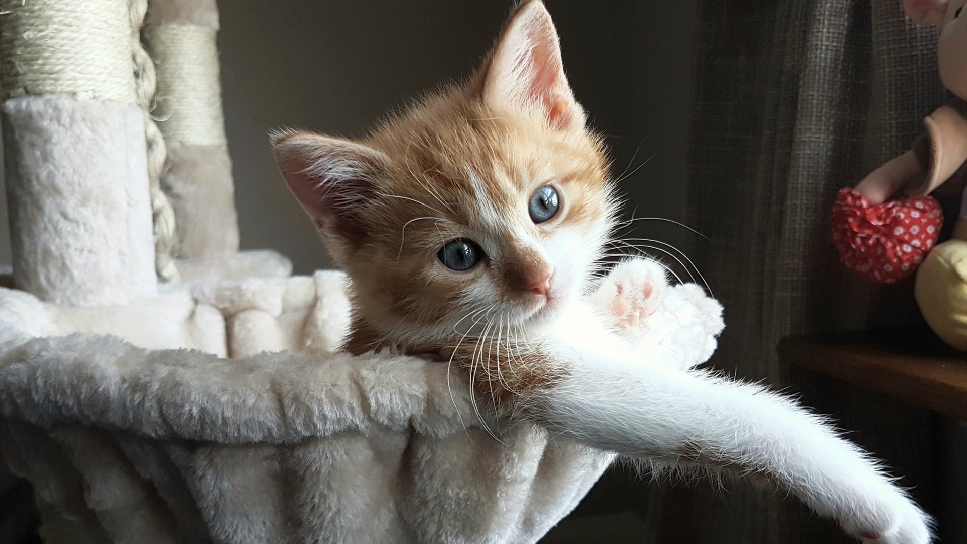 冰岛迷雾中的红色火焰，弗拉霍维奇赛后评分拉满的虚幻与现实