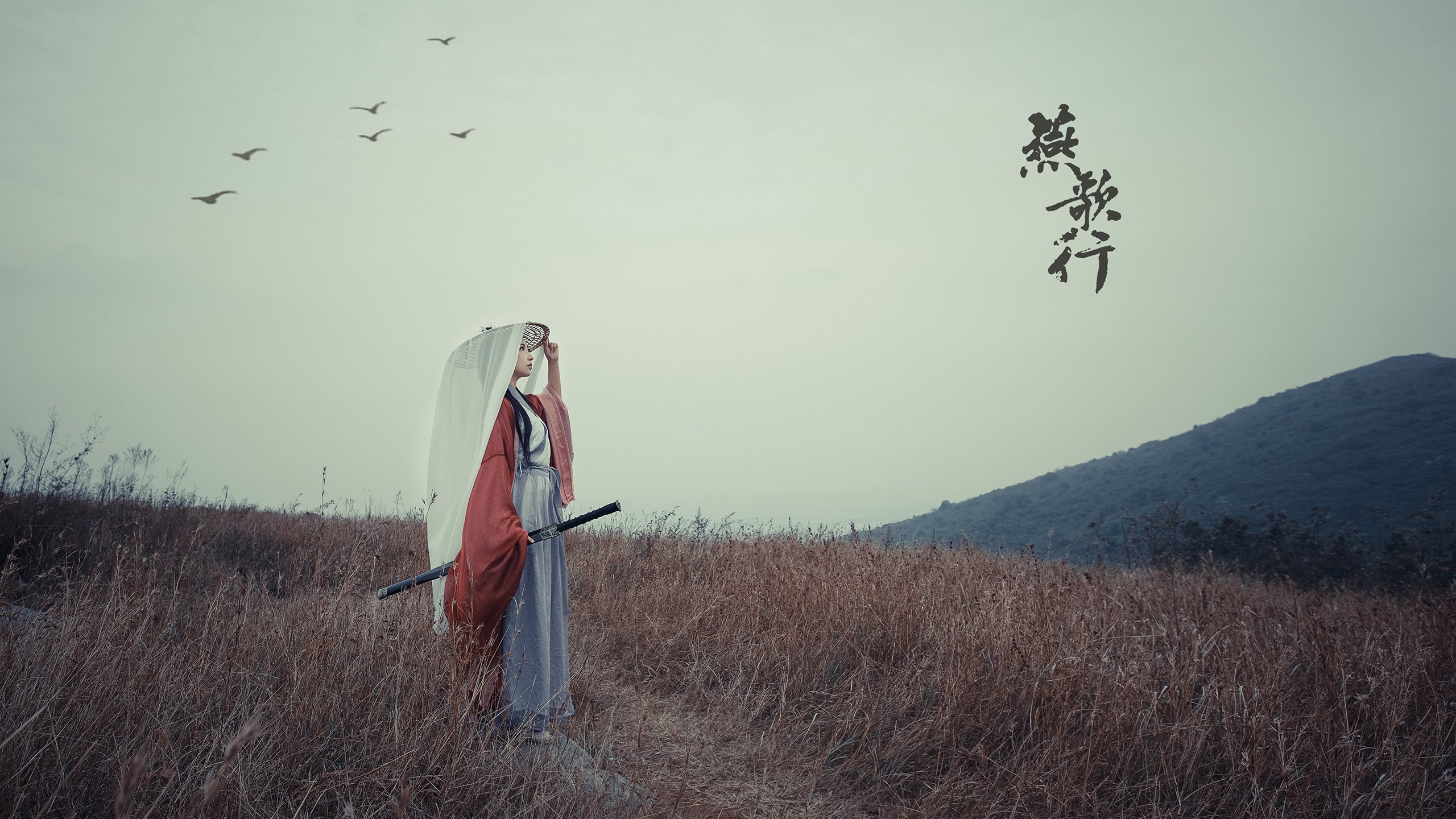 你提出的荷兰对阵安哥拉与德布劳内带动节奏这一组合存在一个核心的矛盾,德布劳内是比利时国家队的核心中场,并非荷兰队成员。因此,一个真实存在或历史性的荷兰vs安哥拉的比赛中,不可能有德布劳内出场