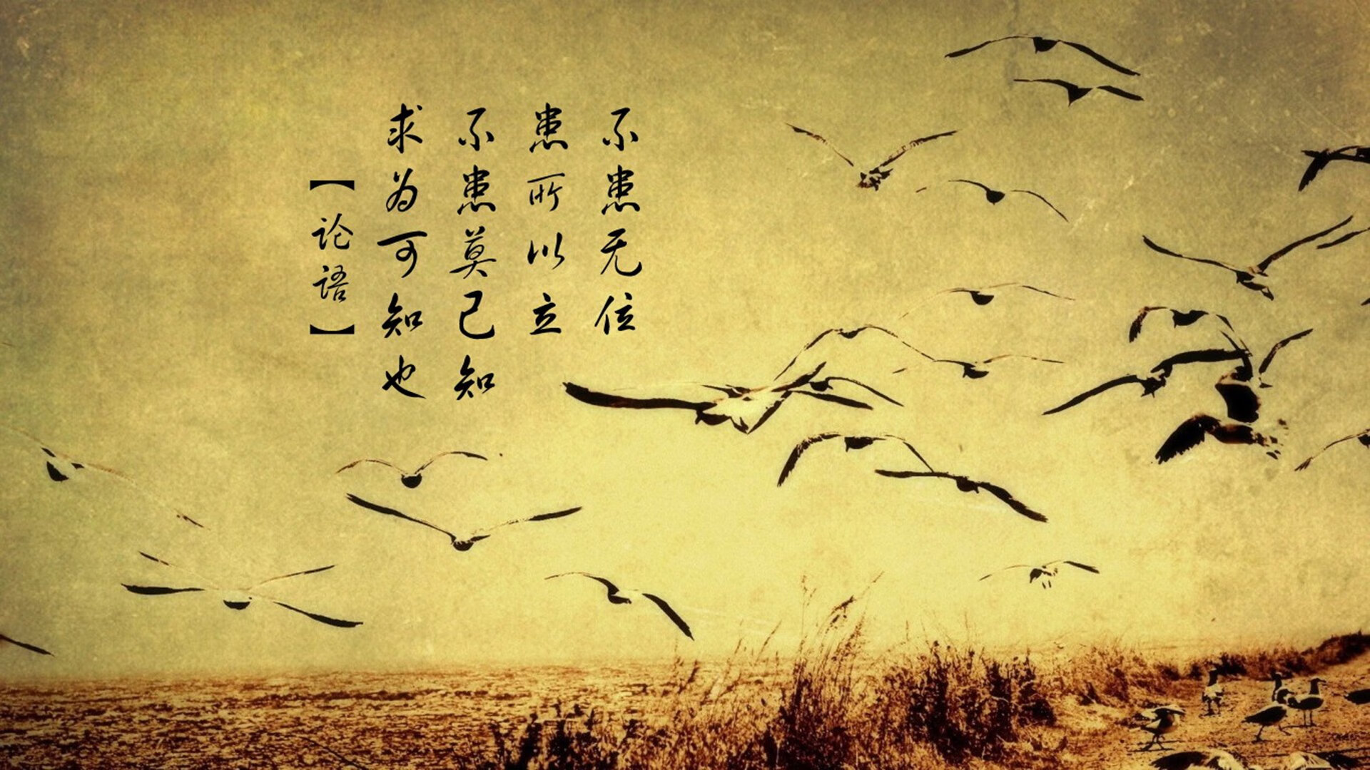 隔空联动的英雄剧本，勇士的冰冷猎杀与武切维奇的热血证言