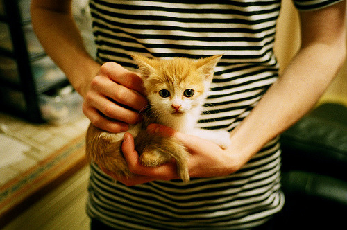 封神之夜,乔治在年度焦点战的绝对压制