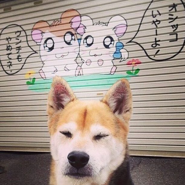 双重克星,当穆勒的阴影笼罩,丹麦童话再次敲响葡萄牙的丧钟