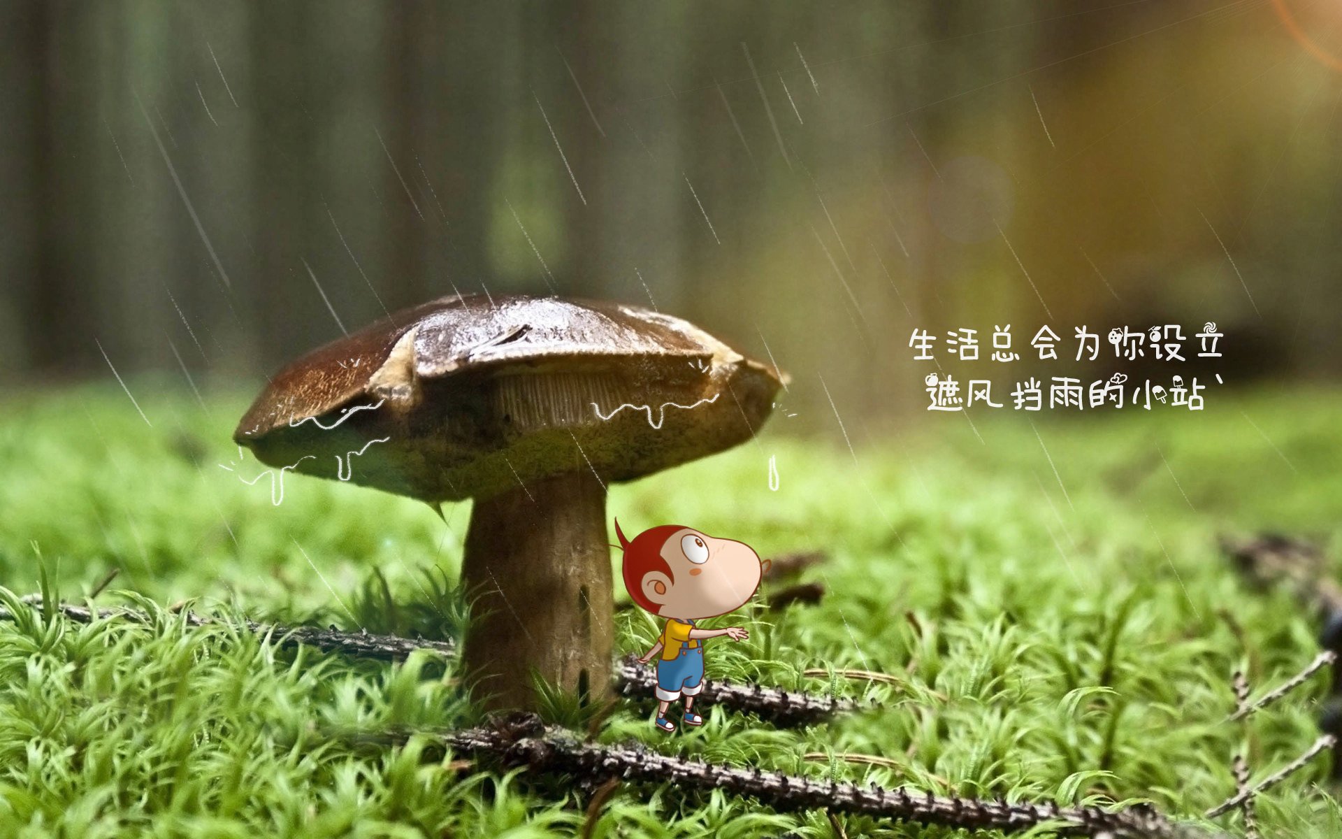 孤星耀世，2026世界杯焦点战，奥斯梅恩执导波兰狂潮，阿联酋防线崩于天才之怒
