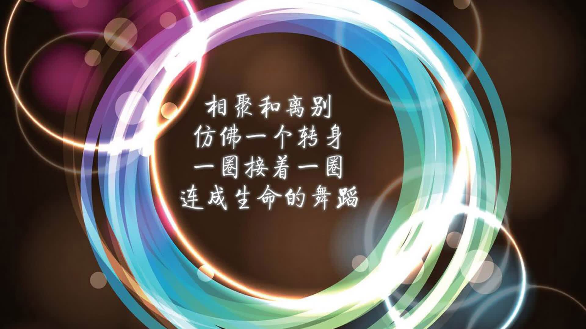 新日耳曼战车的钢铁洪流,罗德里戈加冕,德国队以一场史诗级横扫为2026世界杯C组定调