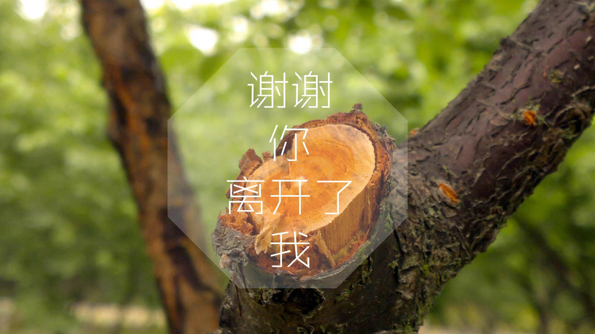 唯一剧本,当莫德里奇掌控时光、替补奇兵改写命运,美国队却用一场大胜撕碎所有预期
