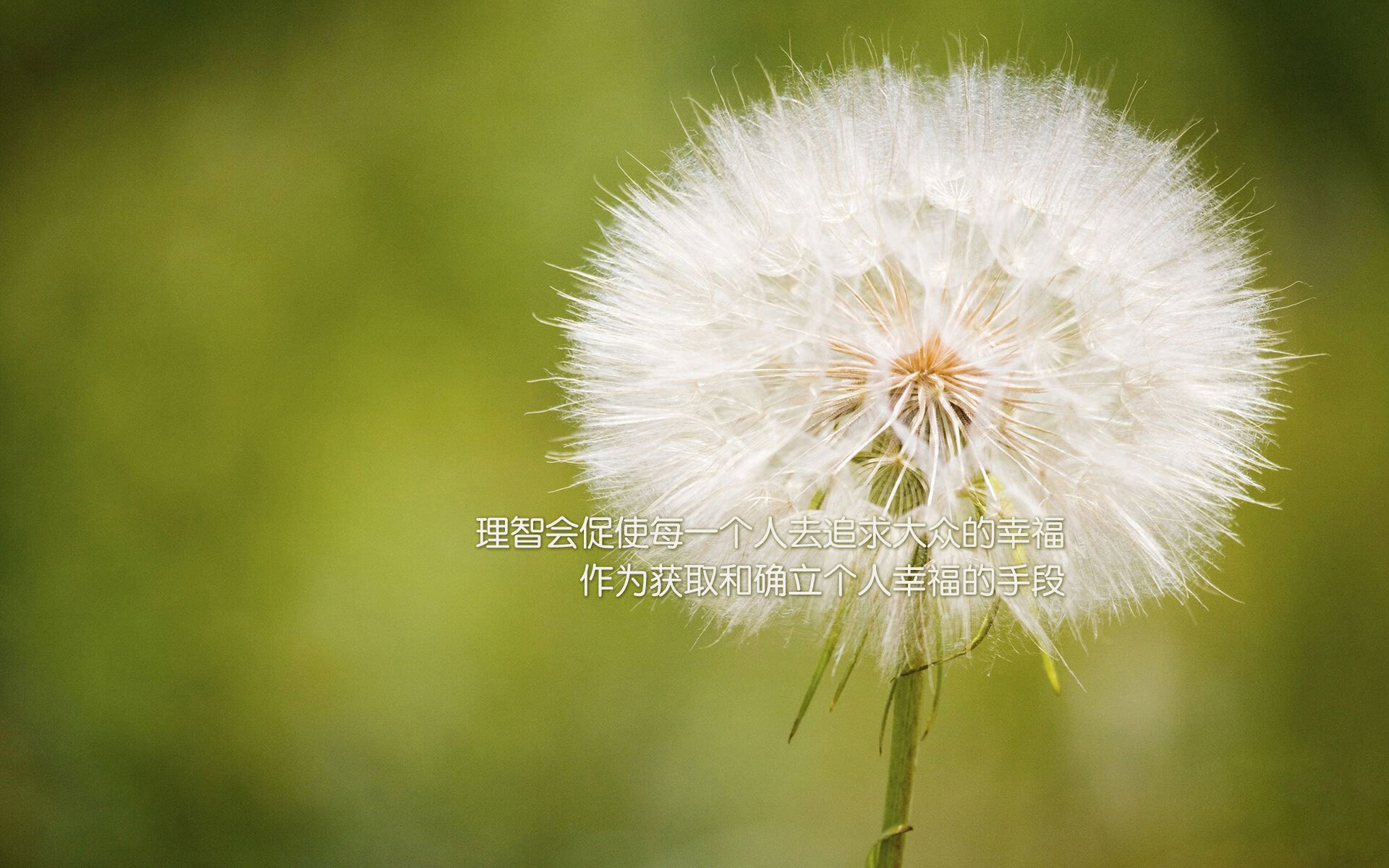孤星耀世，2026世界杯出线战，韩国横扫葡萄牙，京多安独擎德国战车破晓而出