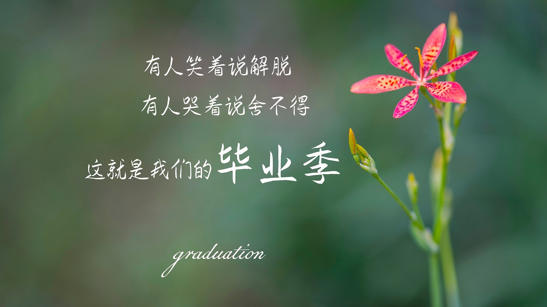北欧寒锋撕裂非洲雄狮，佩德里导演生死战，挪威一脚踏碎喀麦隆的晋级梦